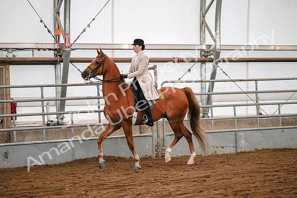 July 19, 2019 - 9021