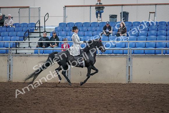 2019 Morgan Horse Show - Aug 31, 2019 - 09677