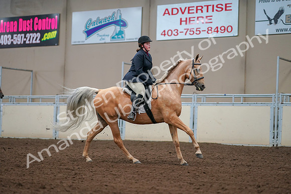 2019 Morgan Horse Show - Aug 30, 2019 - 16419
