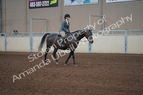 2019 Morgan Horse Show - Sept 01, 2019 - 11075