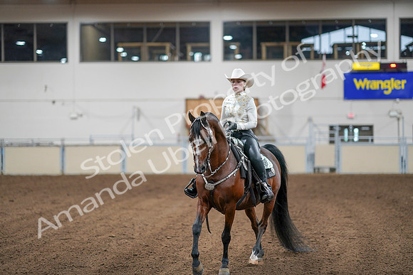 2020 - AB Morgan Horse - Sun, Sept 06 - 07611