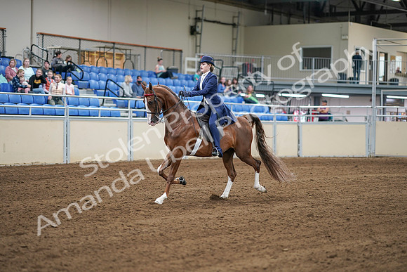 2020 - AB Morgan Horse - Sat, Sept 05 - 06217
