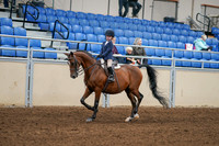 2020 - AB Morgan Horse - Fri, Sept 04 - 04475