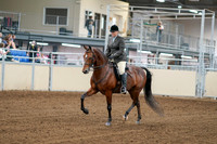 2020 - AB Morgan Horse - Fri, Sept 04 - 02229
