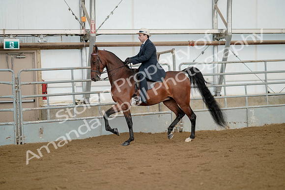 July 21, 2019 - 01556