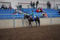 2019 Morgan Horse Show - Aug 31, 2019 - 16298