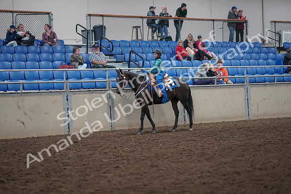 2019 Morgan Horse Show - Aug 31, 2019 - 16298