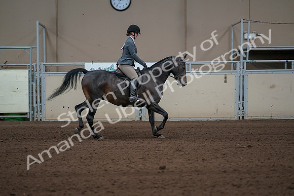 2019 Morgan Horse Show - Sept 01, 2019 - 11061