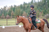 2019 Morgan Horse Show - Aug 30, 2019 - 00208