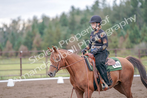 2019 Morgan Horse Show - Aug 30, 2019 - 00208