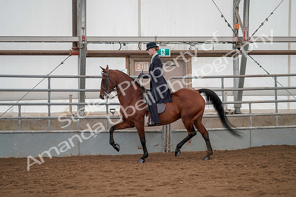 July 20, 2019 - 04312