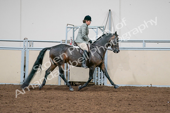 2020 - AB Morgan Horse - Sat, Sept 05 - 14508