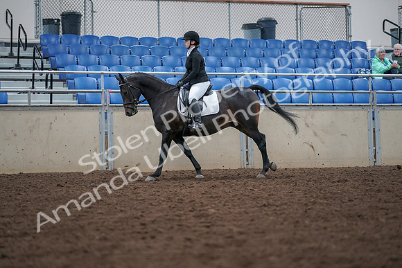 2019 Morgan Horse Show - Aug 30, 2019 - 18436