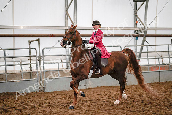 July 19, 2019 - 8934