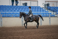 2019 Morgan Horse Show - Sept 01, 2019 - 10885_1