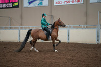 2019 Morgan Horse Show - Aug 30, 2019 - 30636