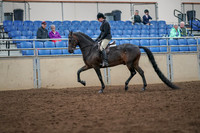 2019 Morgan Horse Show - Aug 30, 2019 - 19867