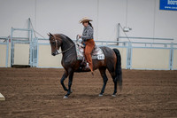 2020 - AB Morgan Horse - Fri, Sept 04 - 00059