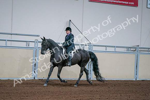 2020 - AB Morgan Horse - Fri, Sept 04 - 01570