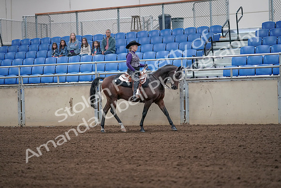 2019 Morgan Horse Show - Aug 31, 2019 - 10777