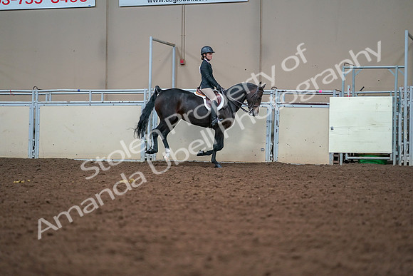 2019 Morgan Horse Show - Aug 30, 2019 - 21088