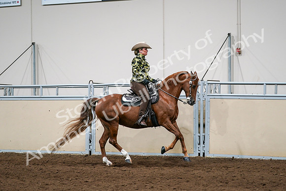 2020 - AB Morgan Horse - Sat, Sept 05 - 08927