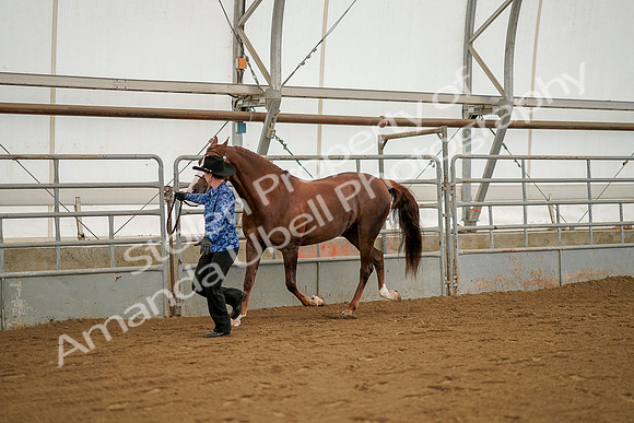 July 19, 2019 - 1258