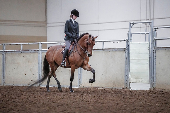 Spring Fling - Saturday - April 20, 2019  -  03811