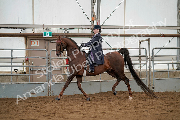 July 20, 2019 - 02242