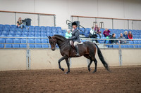 Class 014 - Morgan Hunter Pl - Junior Limit Horse