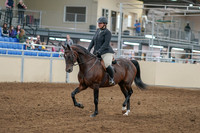 2020 - AB Morgan Horse - Sat, Sept 05 - 09301