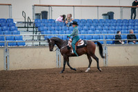 2019 Morgan Horse Show - Aug 30, 2019 - 16710