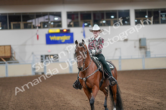 2020 - AB Morgan Horse - Fri, Sept 04 - 08500