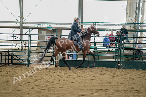 July 21, 2019 - 01866