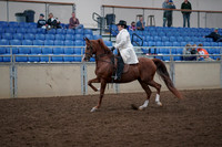 2019 Morgan Horse Show - Aug 31, 2019 - 17850