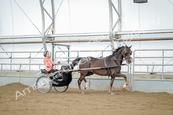 July 21, 2019 - 06002