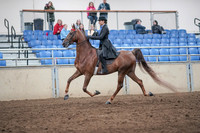 2019 Morgan Horse Show - Aug 31, 2019 - 21978