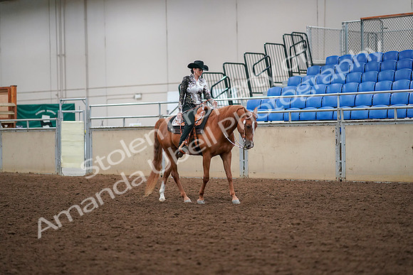 2019 Morgan Horse Show - Aug 30, 2019 - 17090