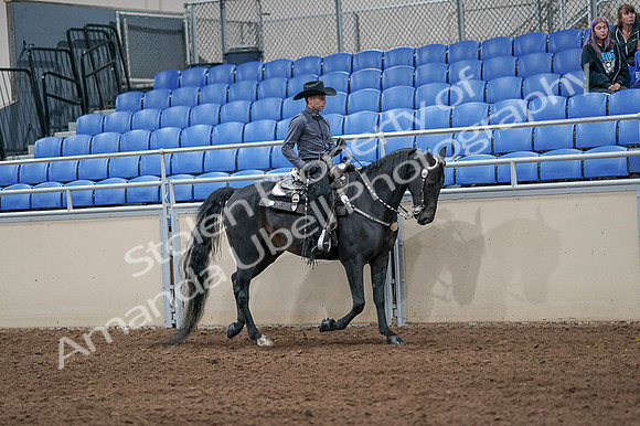2020 - AB Morgan Horse - Fri, Sept 04 - 08469