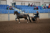 2019 Morgan Horse Show - Aug 31, 2019 - 04227