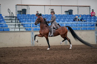 2019 Morgan Horse Show - Sept 01, 2019 - 07385