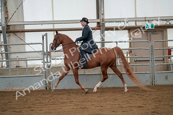 July 20, 2019 - 02109