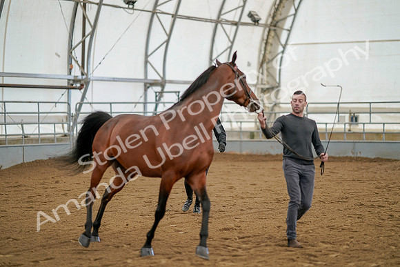 July 19, 2019 - 956