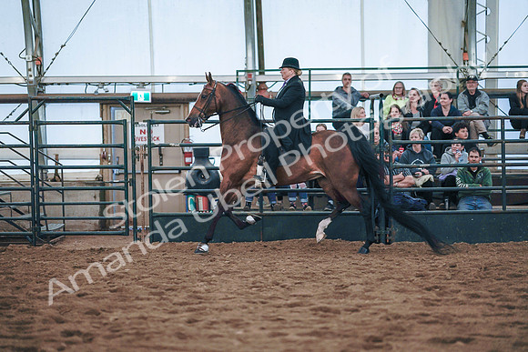 July 20, 2019 - 24185