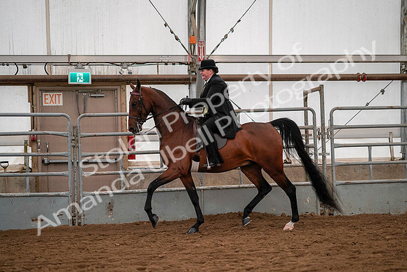 July 19, 2019 - 10283