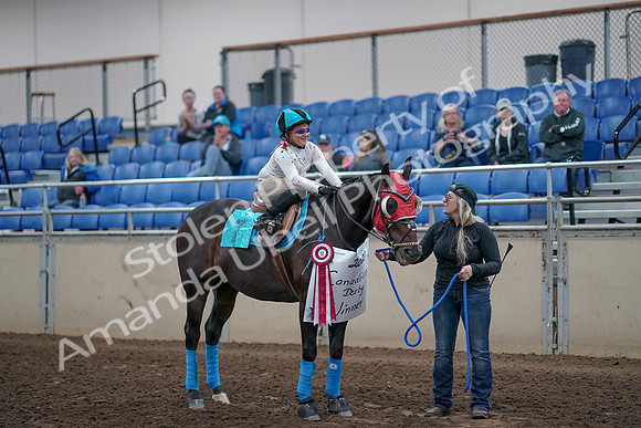 2019 Morgan Horse Show - Aug 31, 2019 - 10232