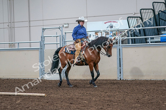 2020 - AB Morgan Horse - Fri, Sept 04 - 00189