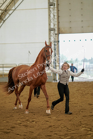 July 19, 2019 - 1096