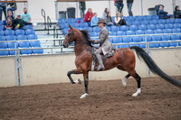 2019 Morgan Horse Show - Aug 31, 2019 - 21967