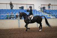 2019 Morgan Horse Show - Sept 01, 2019 - 04012